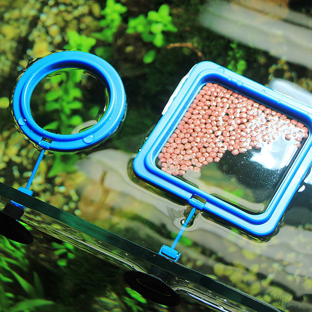 Aquarium Feeding Ring - HOW DO I BUY THIS Round blue