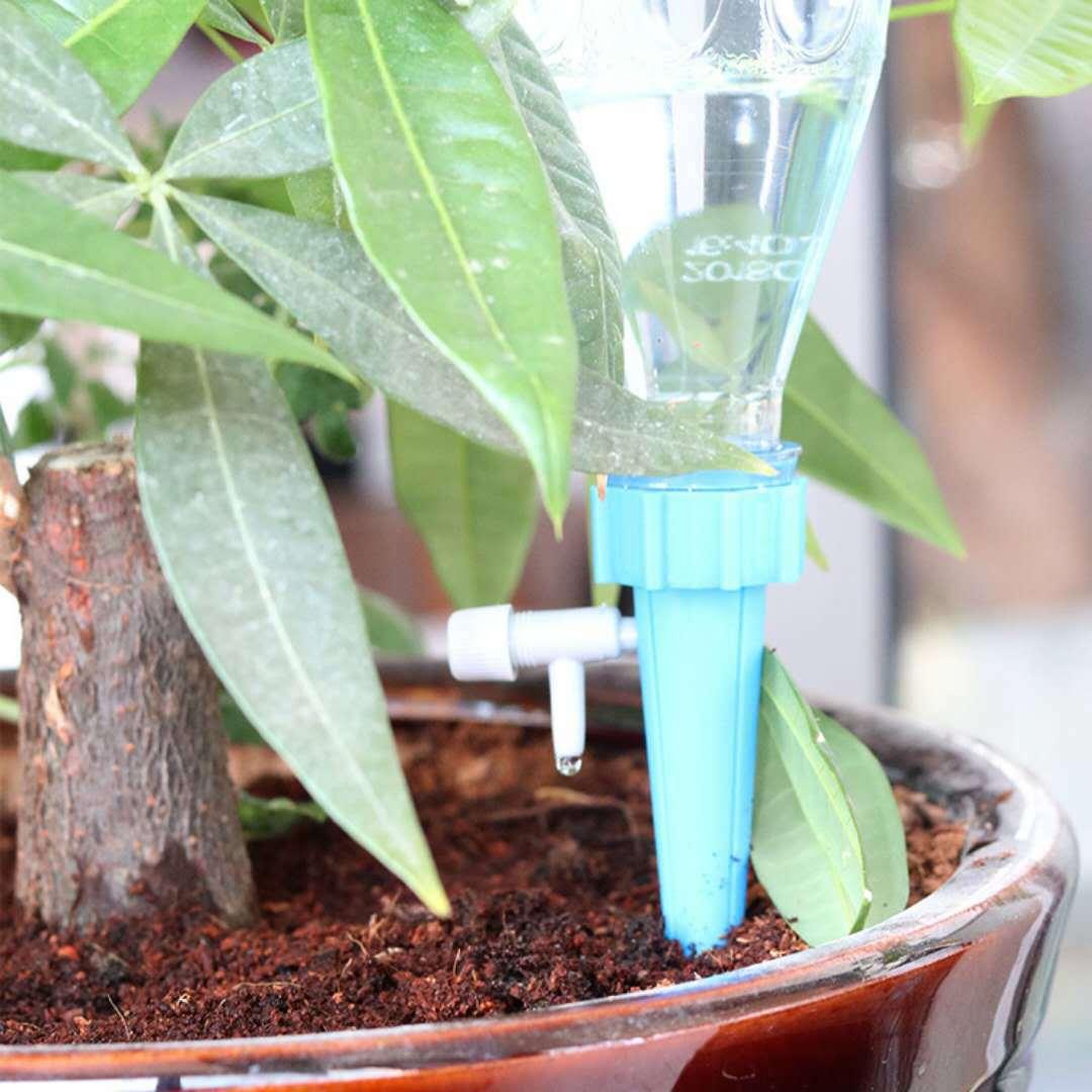 Drip water spikes - HOW DO I BUY THIS 6Pcs Blue