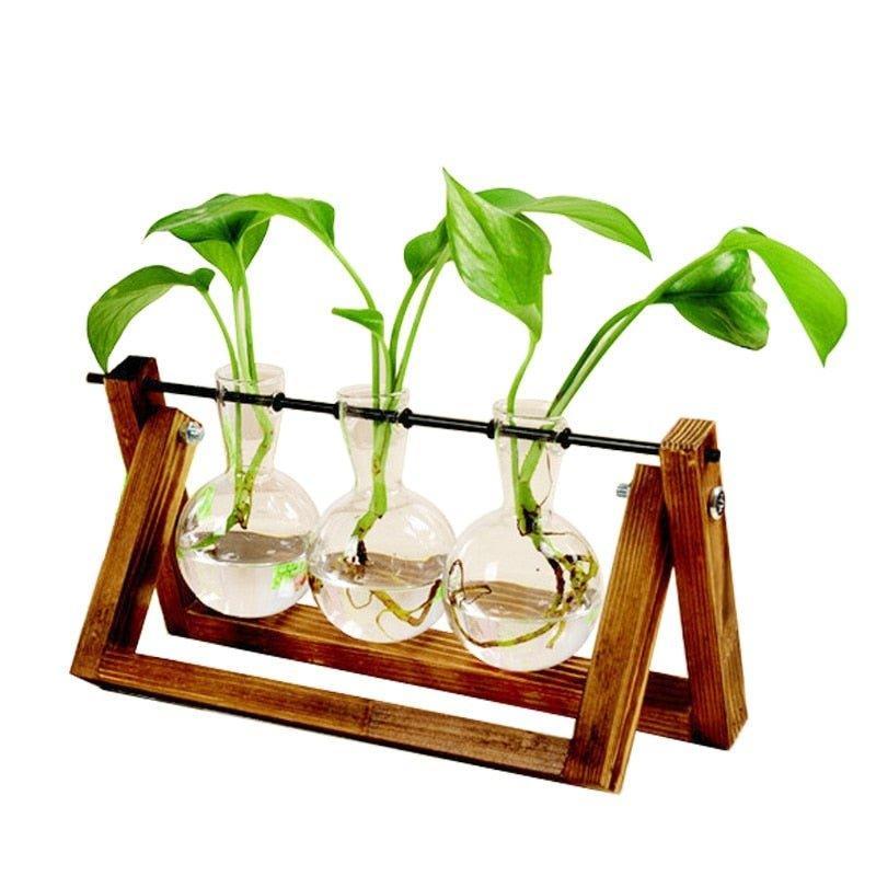Hydroponic Terrarium - HOW DO I BUY THIS Triangular 28.5x16cm