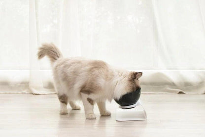Non-Slip Double Pet Bowl - HOW DO I BUY THIS Black & White