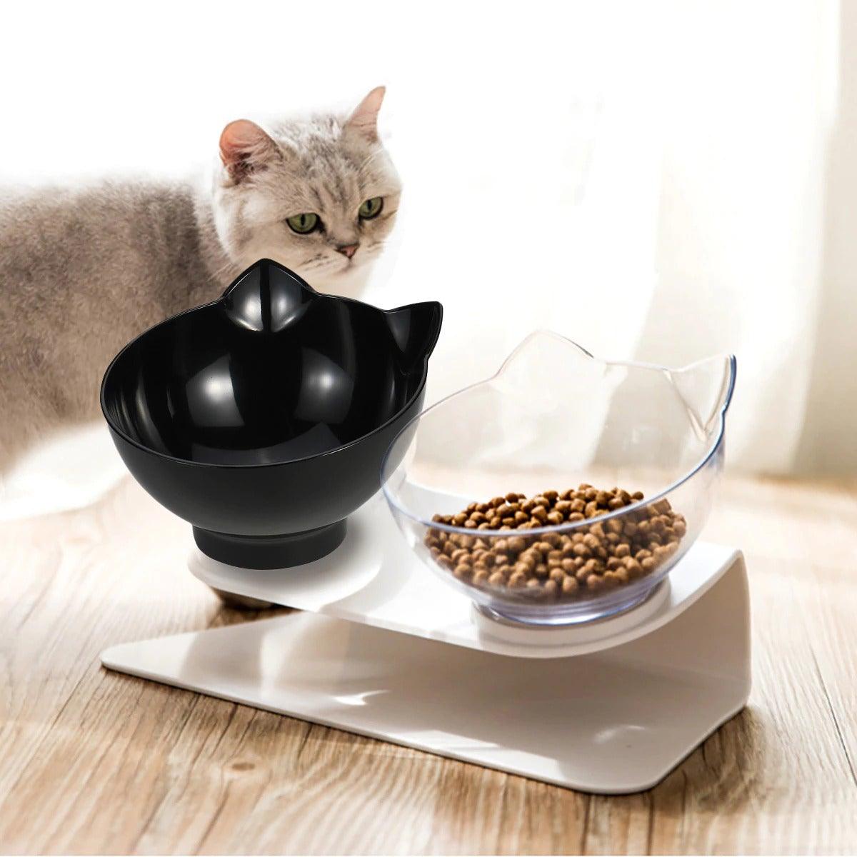 Non-Slip Double Pet Bowl - HOW DO I BUY THIS Transparent Double